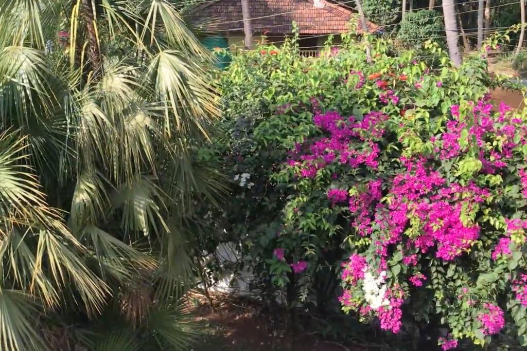 2Bhk Pool Facing Beachside Luxury Homestay In South Goa Betalbatim Eksteriør bilde